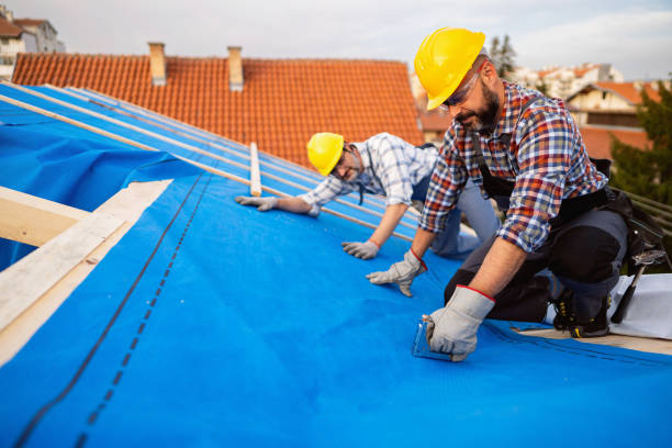 Best Storm Damage Roof Repair  in Mars Hill, NC