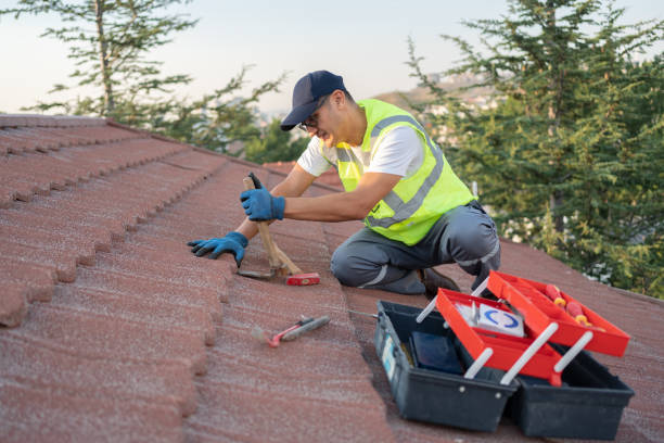 Best Local Roofing Companies  in Mars Hill, NC